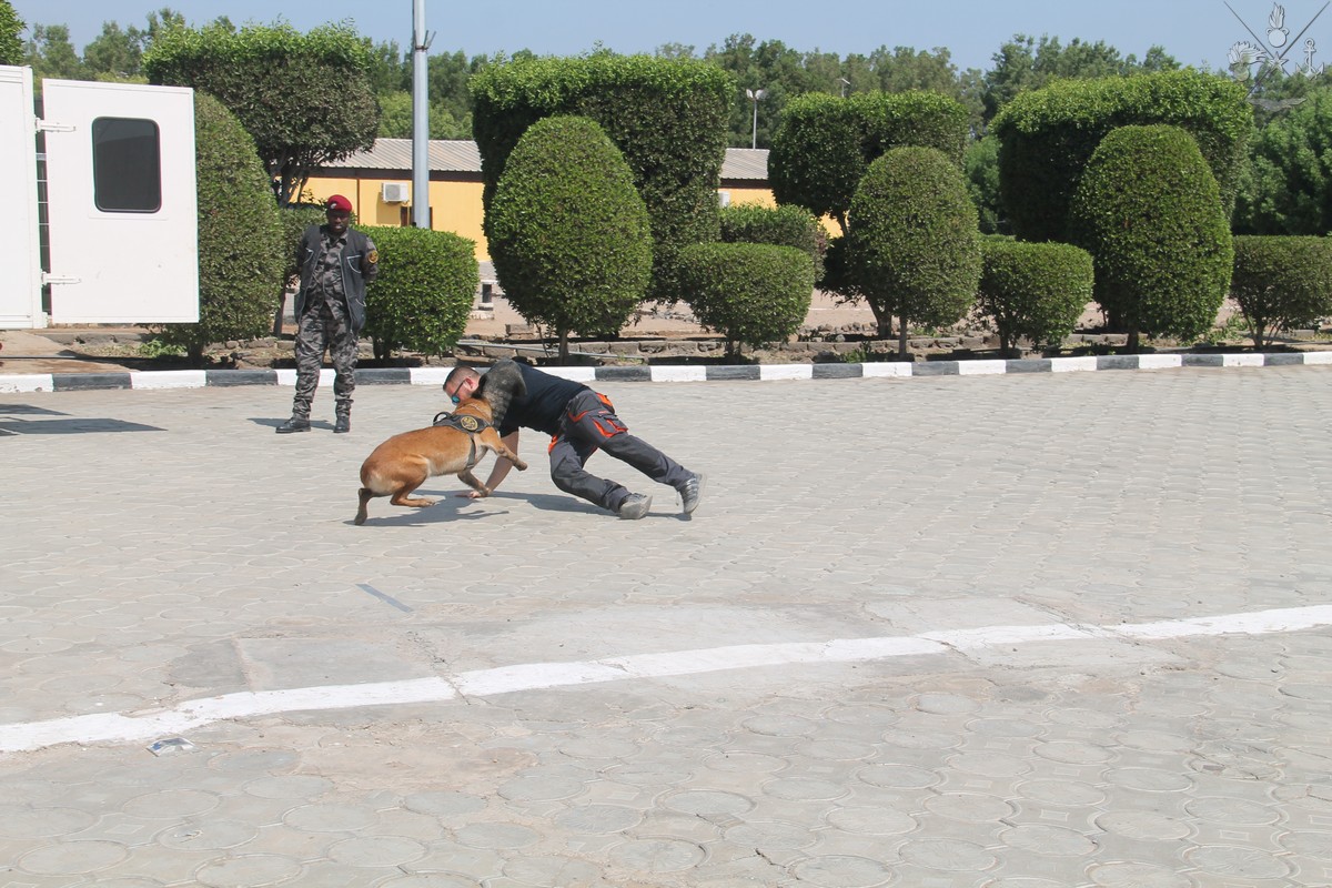SM_Difesa's tweet photo. I #Carabinieri della missione #MIADIT Somalia 22 hanno concluso i corsi per ricerca di sostanze stupefacenti/esplosivi per unità cinofile e di tecniche di indagine contro criminalità organizzata/terrorismo a favore della Polizia gibutiana
➡️ https://t.co/yiKQZjzatV
#ForzeArmate🇮🇹 https://t.co/j8AbbjvcBD