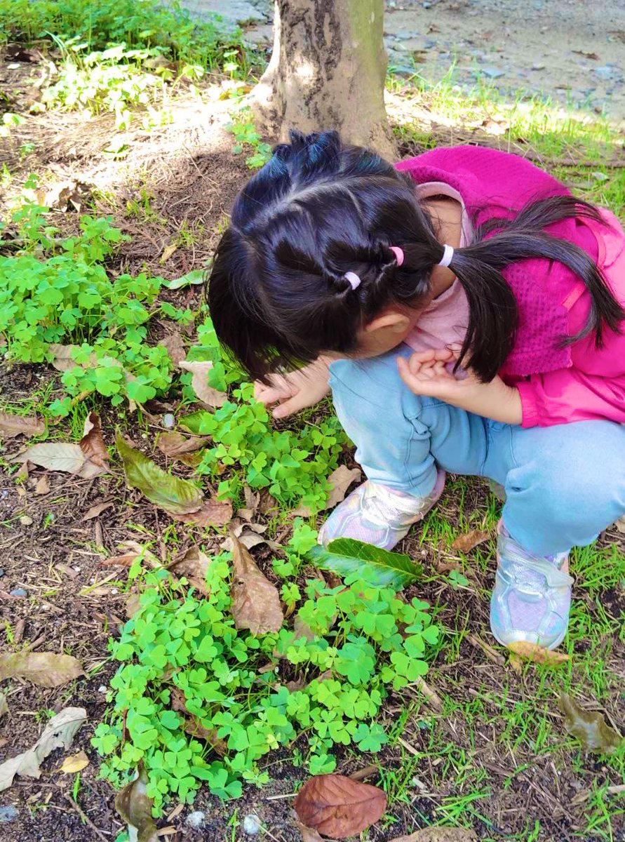 white_1228's tweet photo. はるみとなつみの願い叶えてもらいたいから四葉探してるはるちゃん🍀

ランドセルから出てきた紙💛🧡🤍🩵🩶
家族になってる(笑)かわいい(笑) https://t.co/W411IiCMog
