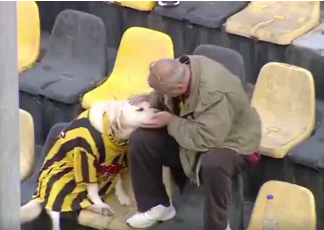 SweeperPod's tweet photo. 🇬🇷🐶 A Greek Labrador called Aris, named after the club he supports, was spotted wearing a shirt at the Super League match against OFI.

Aris the dog has been a season ticket holder at the club for the last five seasons and barks along whenever the fans start to chant.

That is just one many fantastic fan-themed stories we covered on our brand-new episode. Check it out! 🎙️