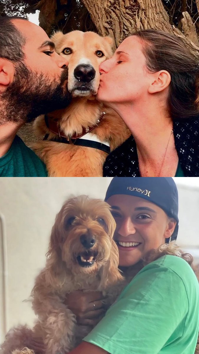 HenMazzig's tweet image. - Tonto – the Bibas family’s dog
- Choocha - Emily Damari’s dog
- Mocha – the Sharabi family’s dog
- Mickey – the Labban family’s dog
- Habibi – the Zohar family’s dog
- Ketem – the Weiss family’s dog
- Dudi – the Shazar family’s dog
- Roncho – the Golan family’s dog
- Sokka –…