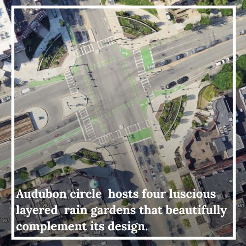 BosGreenIn's tweet photo. Site spotlight #9: Audubon Circle in Fenway! This intersection has been furnished with improved layered rain gardens at every corner. The rain gardens work to drain storm water from the streets and filter out pollution before it flows to the Charles. https://t.co/ldaPHwrnC8