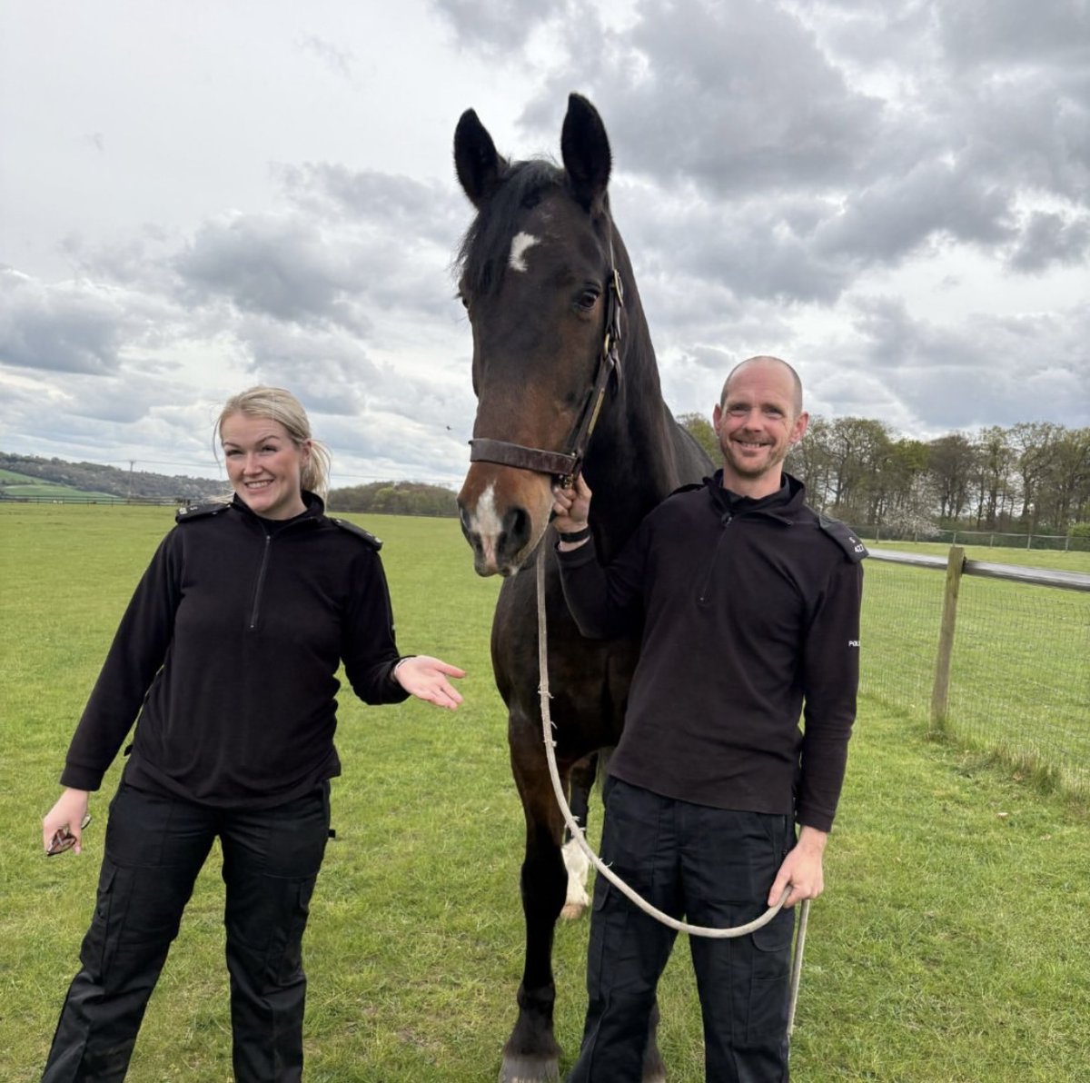Police Scotland Horses (@psoshorses) on Twitter photo On Monday we said goodbye to Inverness after 12 years service! He has retired to <a href="/horsetrust/">The Horse Trust</a> ! We all wish him a long, healthy and happy retirement! #WeWillMissYou #HappyRetirement #AlwaysAPoliceHorse #WeAreNotCryingYouAre On Monday we said goodbye to Inverness after 12 years service! He has retired to <a href="/horsetrust/">The Horse Trust</a> ! We all wish him a long, healthy and happy retirement! #WeWillMissYou #HappyRetirement #AlwaysAPoliceHorse #WeAreNotCryingYouAre
