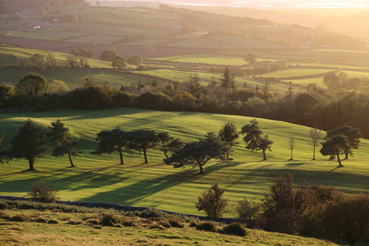 Keith Wilkinson tweet media