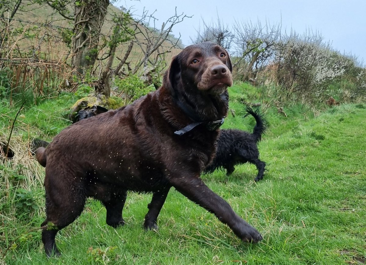 Tessa Delves tweet media