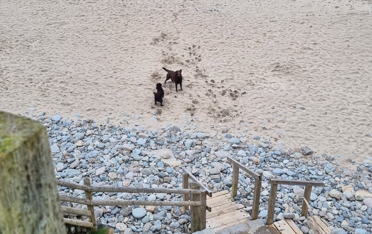 Tessa Delves tweet media