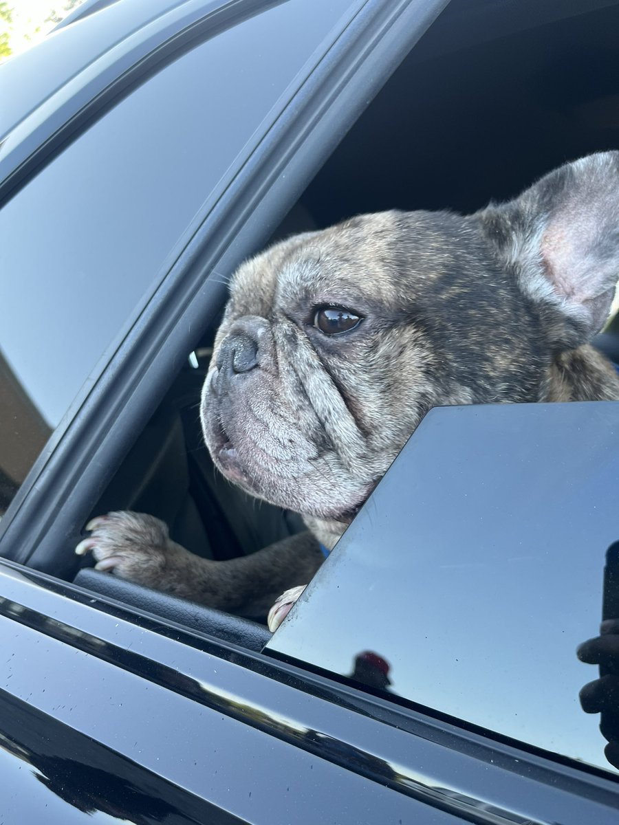corn8red's tweet photo. You gotta be a dog where I’m from #UnlckDaWrld #NSRT #GHSP https://t.co/HJpqQMOEPF