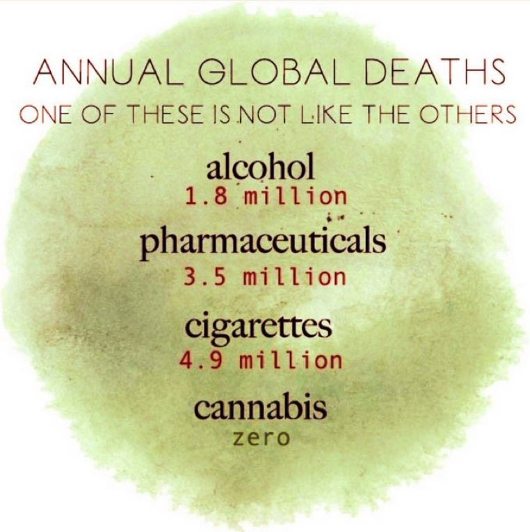 Nebulous_One1's tweet photo. @samielsvad @chamath Less “poisonous” than sugar

More beneficial than many pharmaceuticals without the side effects https://t.co/fuLw8xDkh3