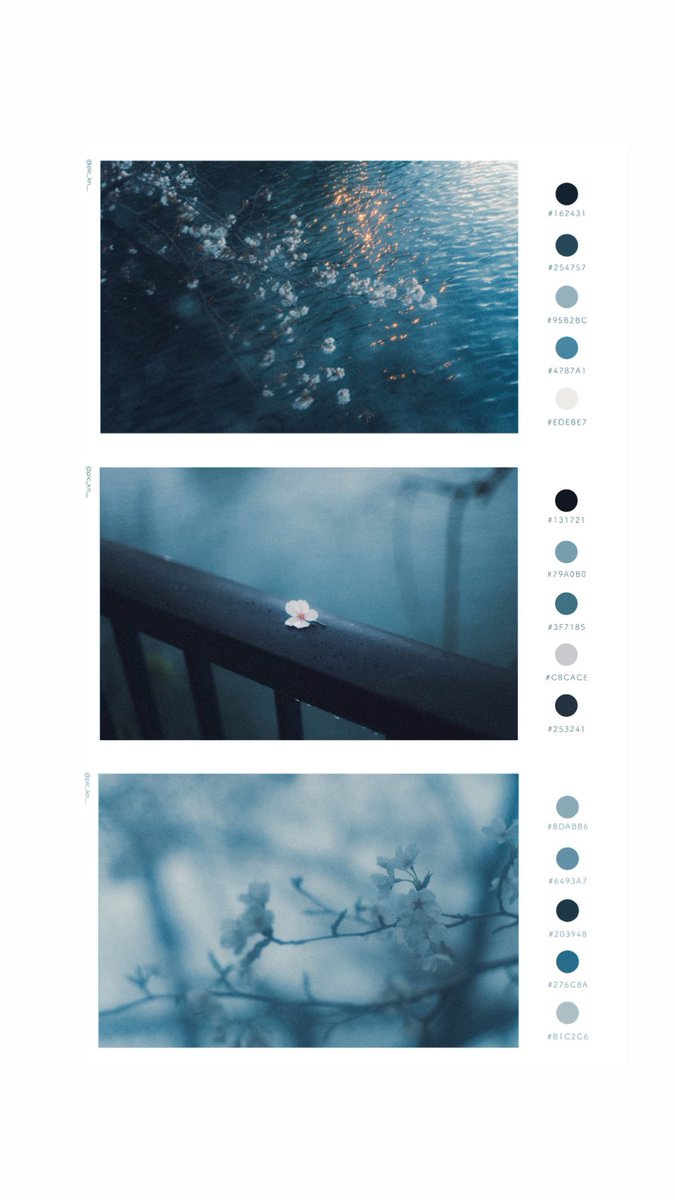 pic_kn__'s tweet photo. 花降る静けさを、色に溶かした。 https://t.co/J9U8t6CQxG