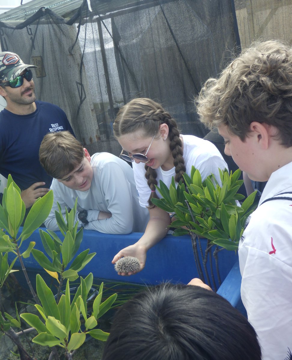 SeaTrek BVI tweet media