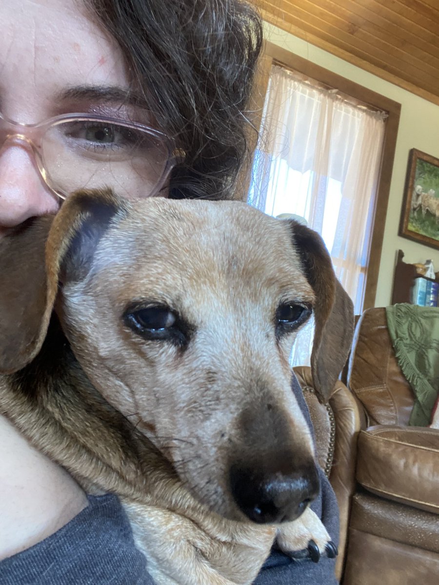 lissy 🌻 tweet media