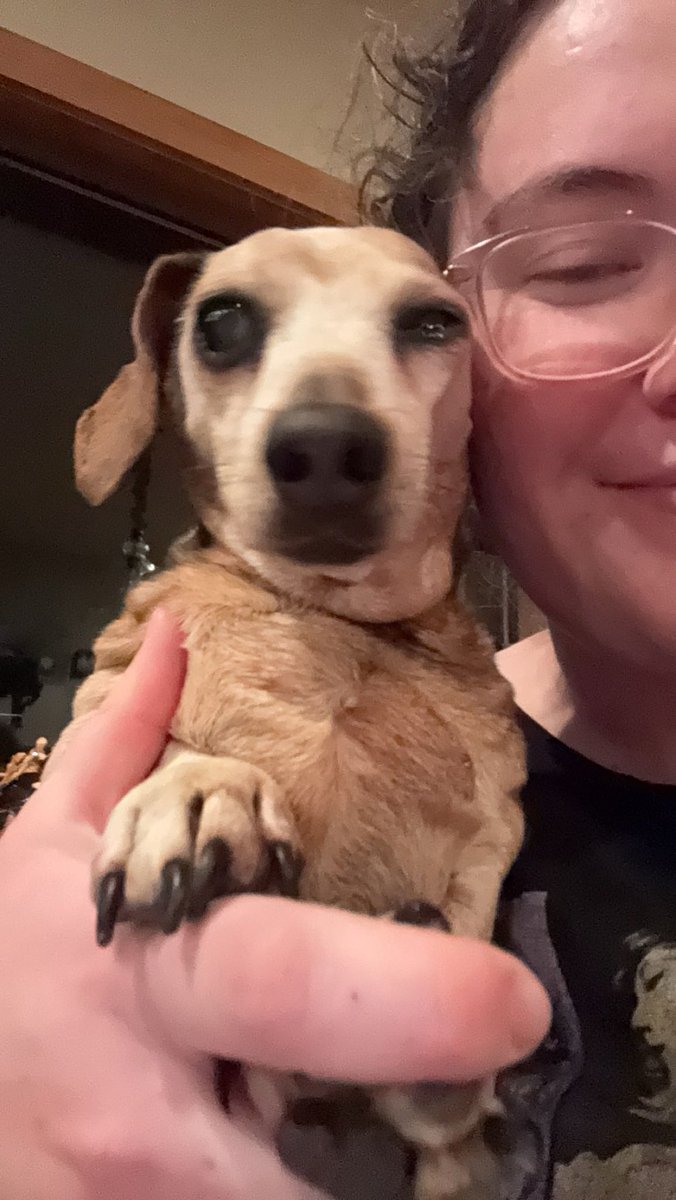 lissy 🌻 tweet media