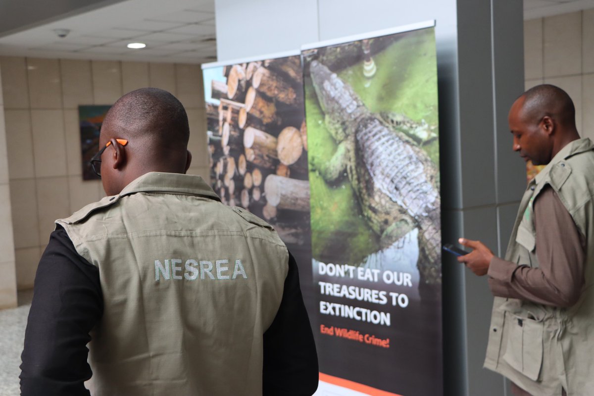 UNODC_Nigeria's tweet image. We are keeping wildlife in the wild - not on our plates! 

Delighted to have partnered with @NigeriaGov &amp;amp; @FMEnvng to produce vital comms materials that raise awareness on wildlife &amp;amp; forest crime. 

Grateful to @GERinNigeria &amp;amp; @StateINL for funding.

🔗 unodc.org/conig/en/stori…