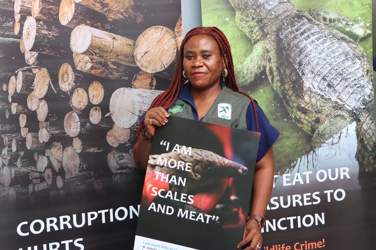 UNODC_Nigeria's tweet image. We are keeping wildlife in the wild - not on our plates! 

Delighted to have partnered with @NigeriaGov &amp;amp; @FMEnvng to produce vital comms materials that raise awareness on wildlife &amp;amp; forest crime. 

Grateful to @GERinNigeria &amp;amp; @StateINL for funding.

🔗 unodc.org/conig/en/stori…