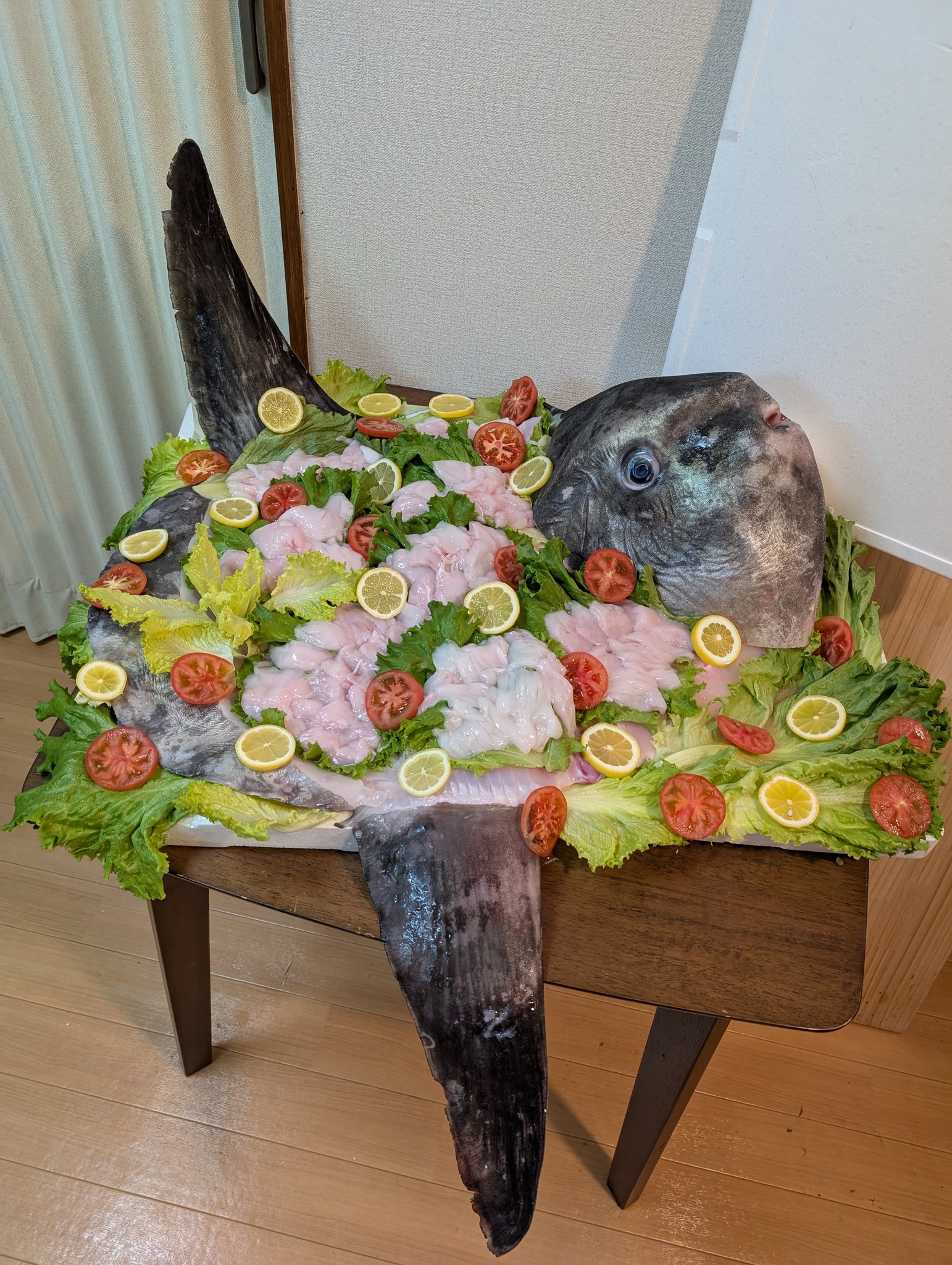 タカハシヨウ（家の裏でマンボウが死んでるP