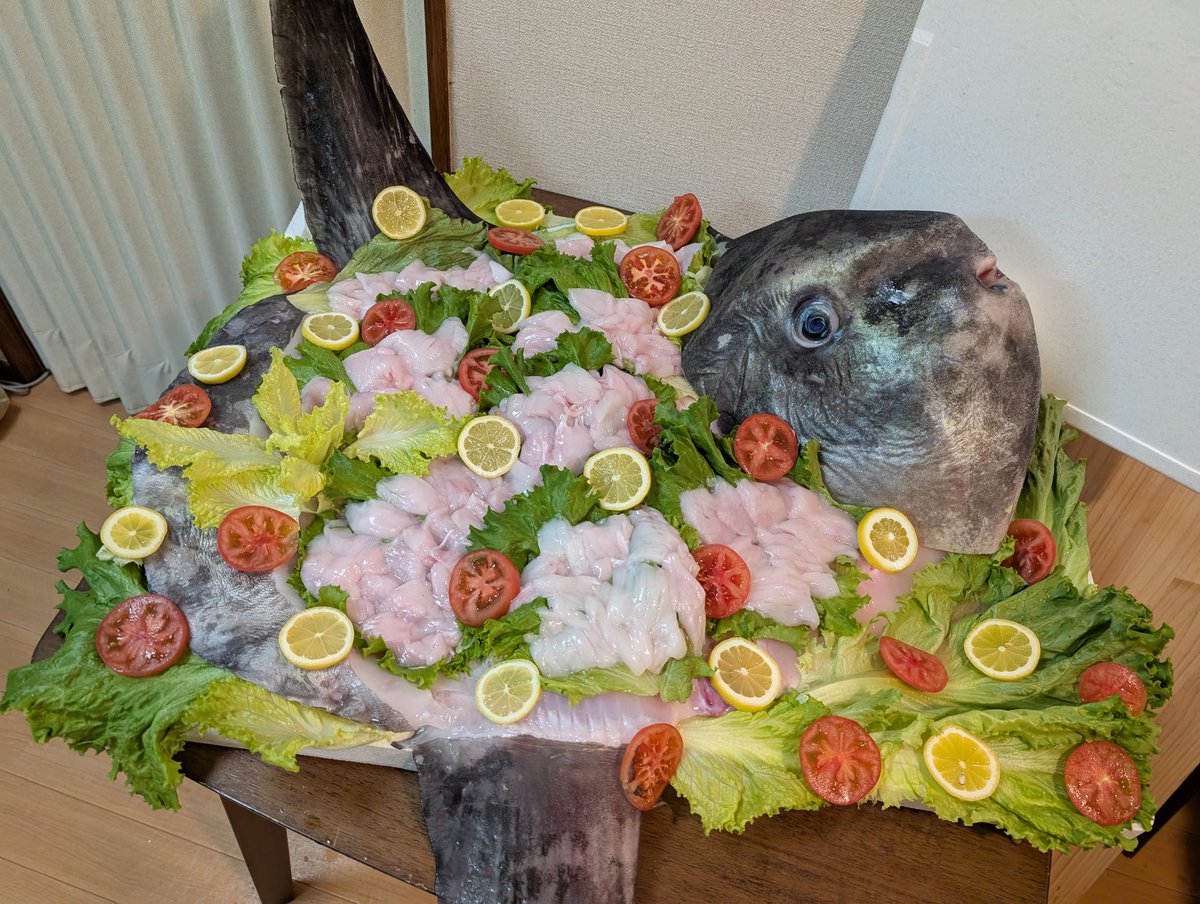 専用ページ マンボウ様 マンボウの姿造り作っちゃったwwwwwwww