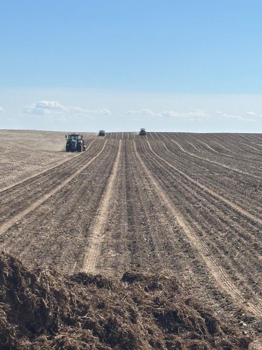 Planting mint for essential oil production…turning acres into aroma, one leaf at a time. 🌱 #mint #abfarm #westcdnag