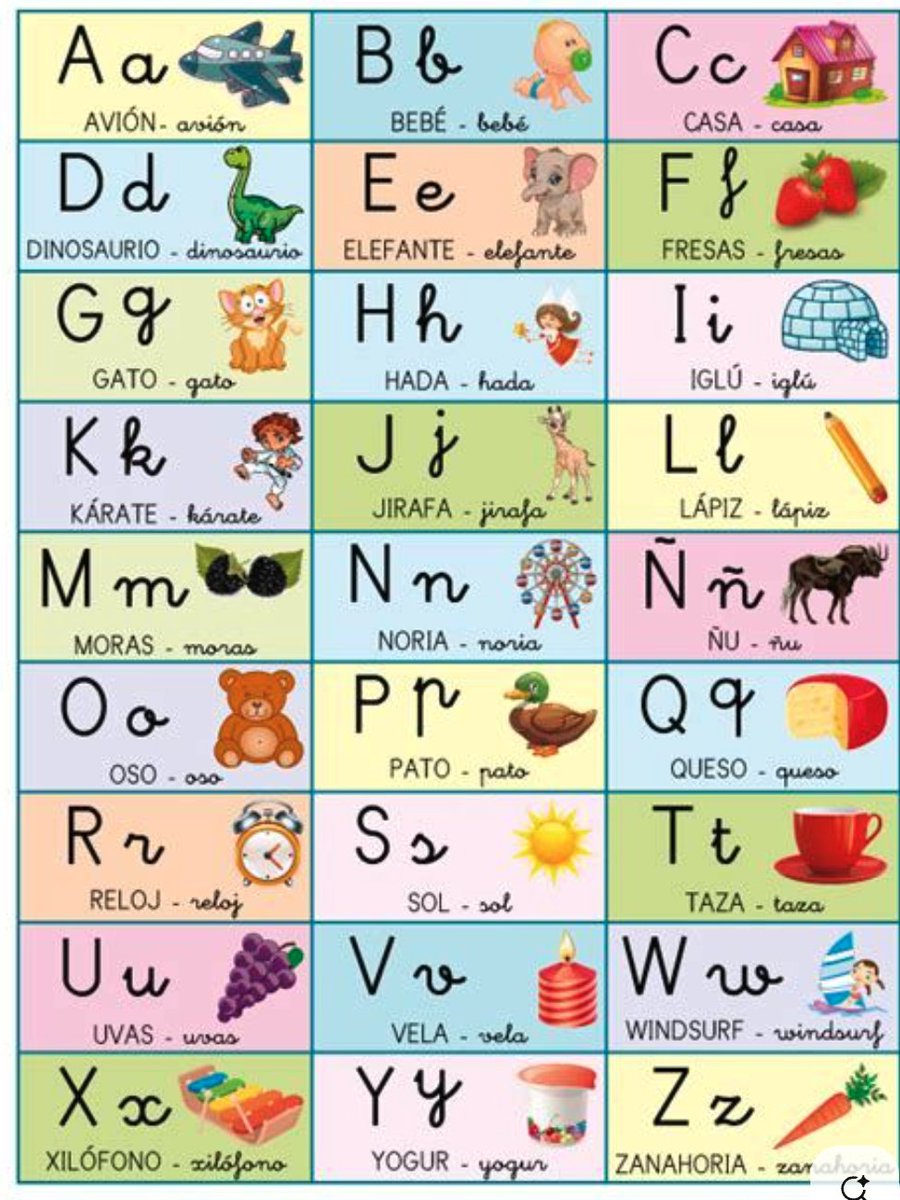 Andy Pagella tweet media