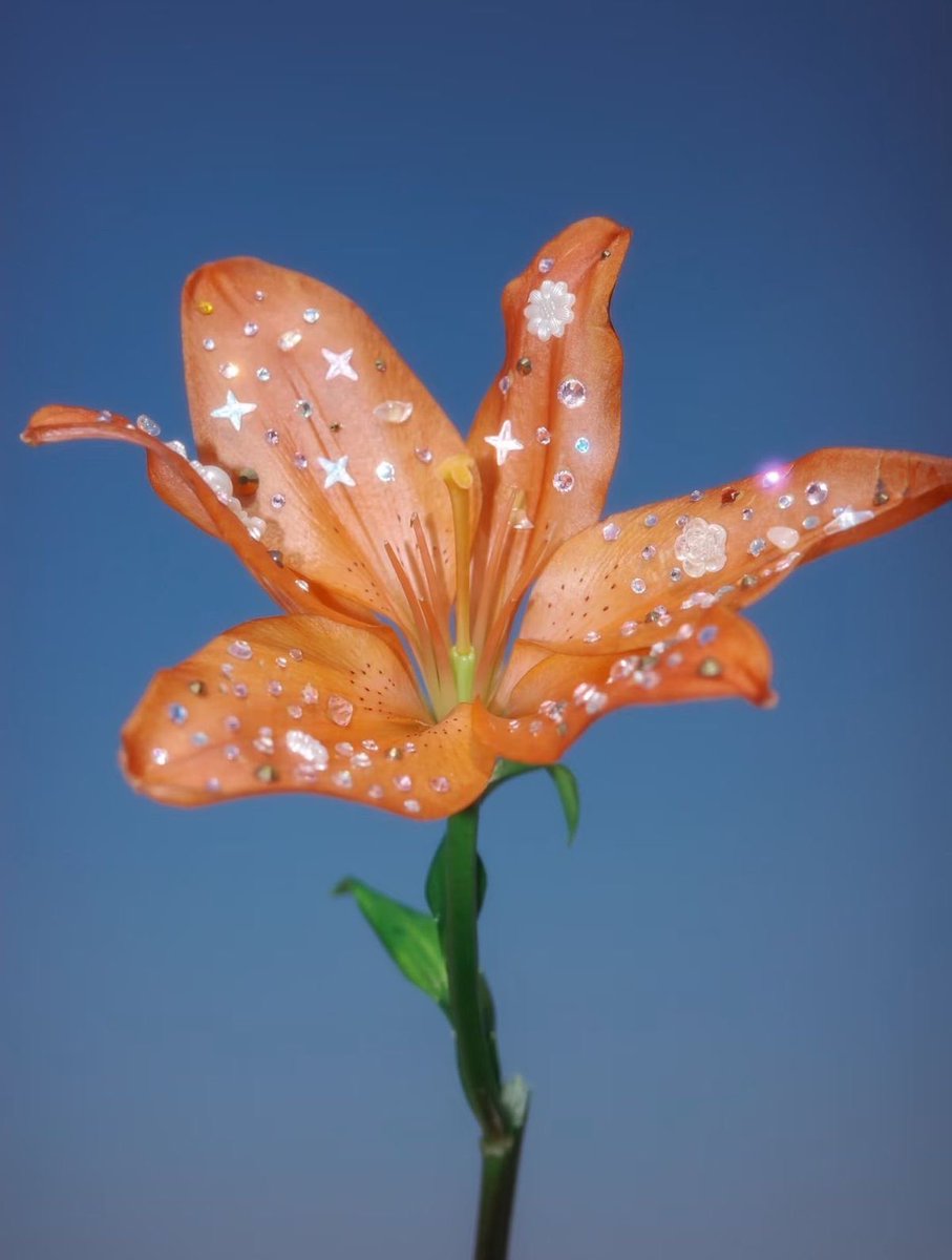 BB (@officeofm_) on Twitter photo 