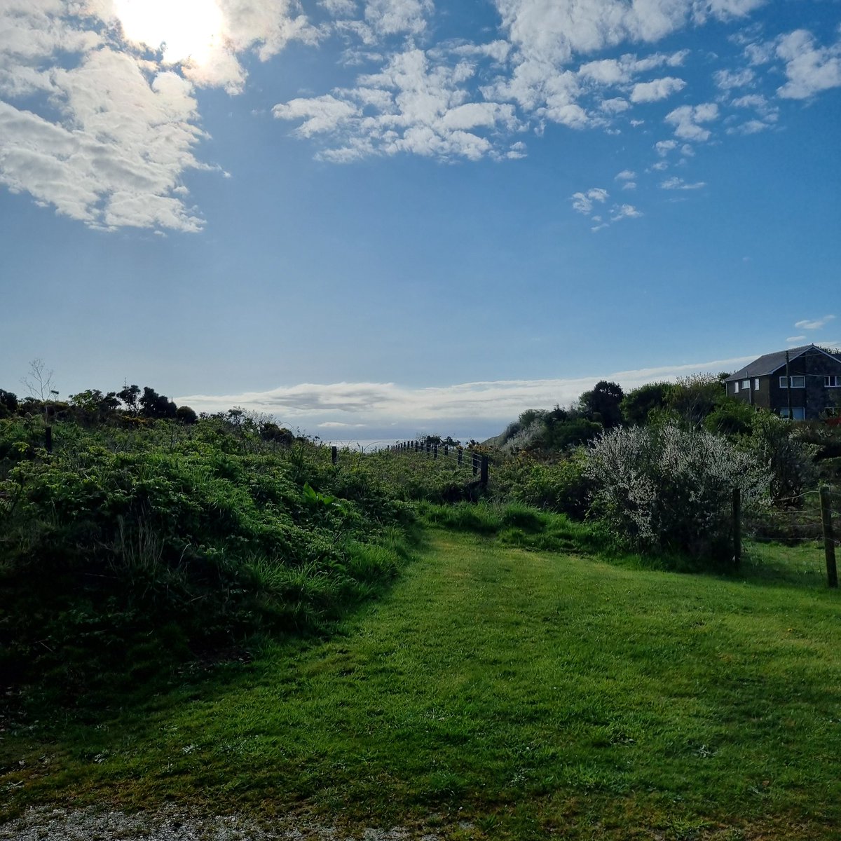 Tessa Delves tweet media