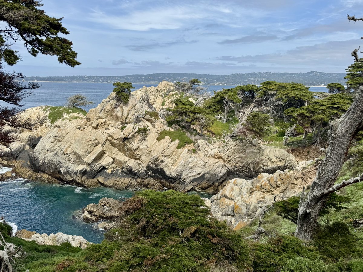 jet__driver's tweet image. The central coast colors are out in full force this week 😍💪🏻