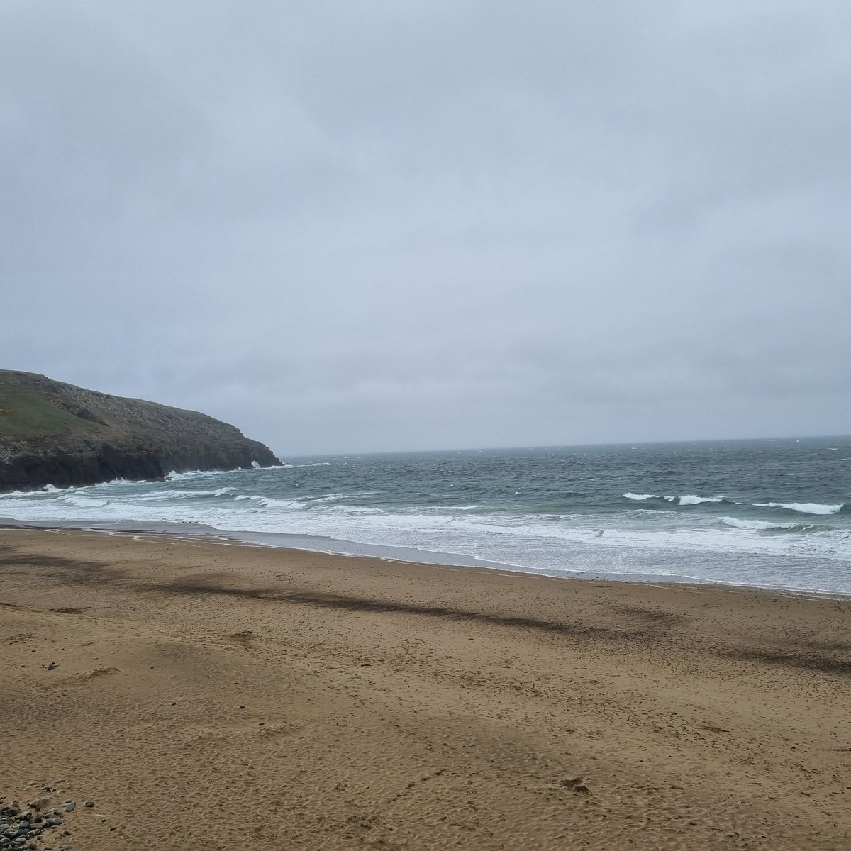 Tessa Delves tweet media