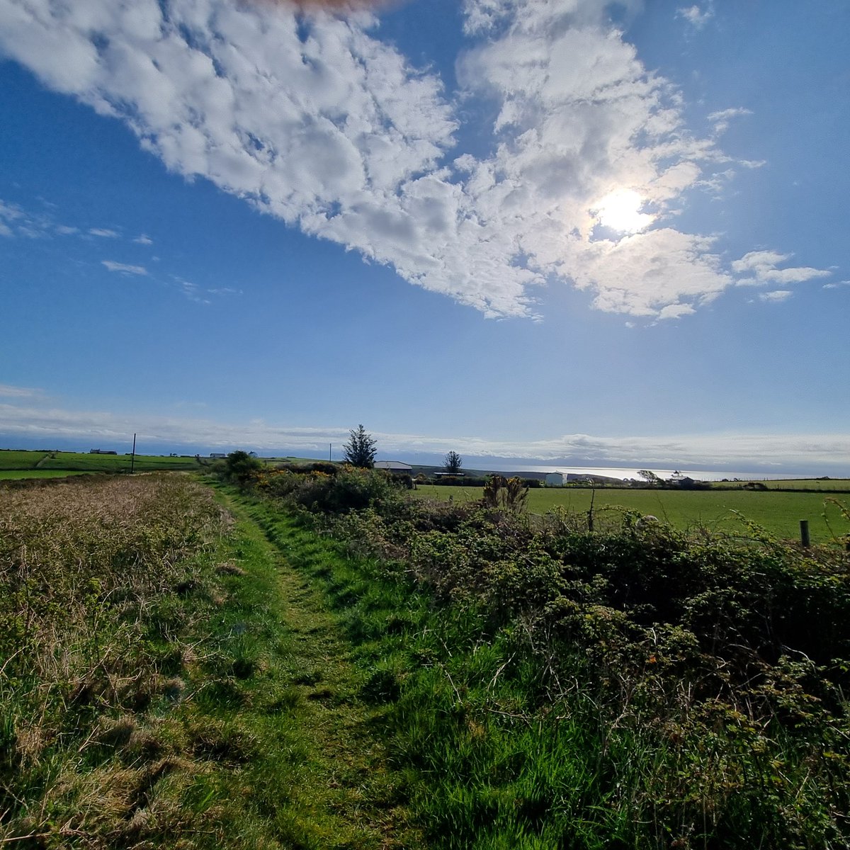 Tessa Delves tweet media