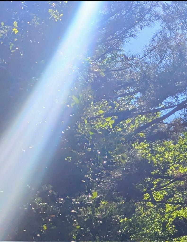 The magnetic fields of Christ consciousness are aligning. These are the harmonics of the universe. When they align it allows a connection to your spirit. It brings truth, justice, healing and abundance. The absence of light is how dark forces tricked humanity and why those