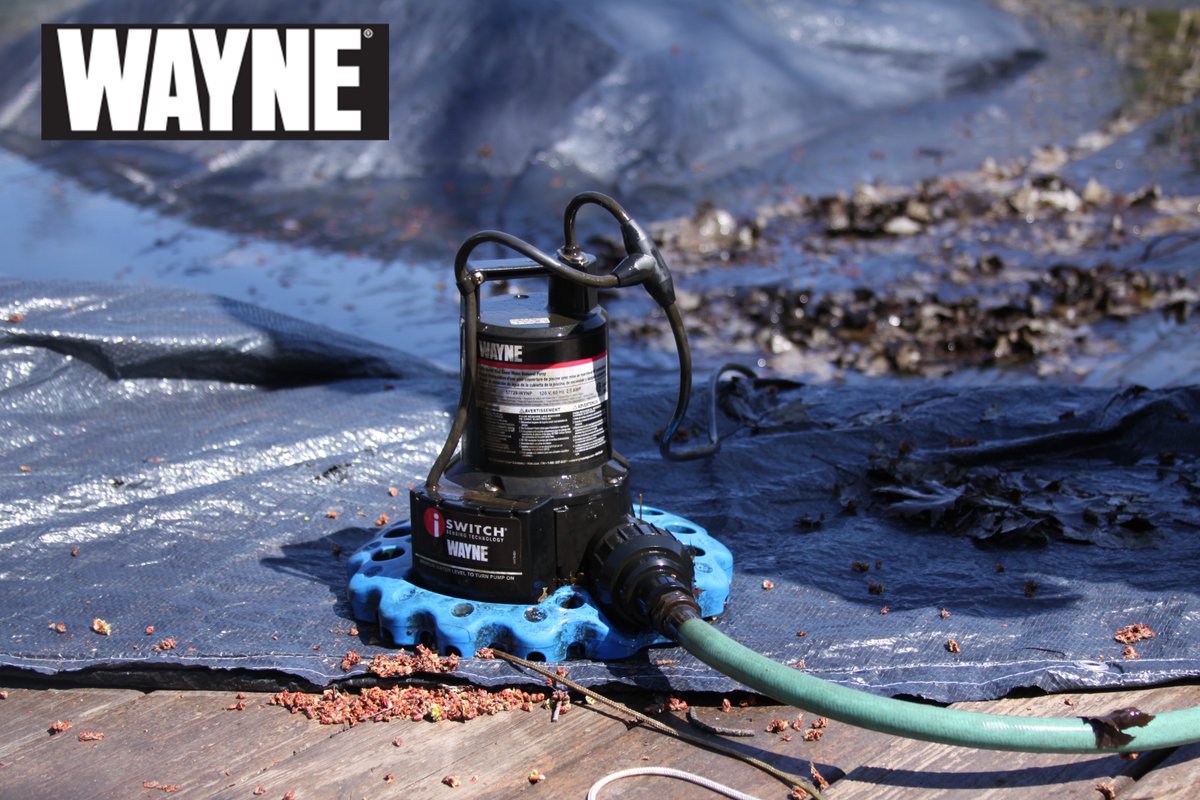 WAYNEPumps's tweet image. It’s almost time to open your pool for the summer! Our Pool Cover Pump will make sure your cover is water-free and ready to come off. #PoolCare #PoolCoverPump #DrainWithWayne bit.ly/WAPC250