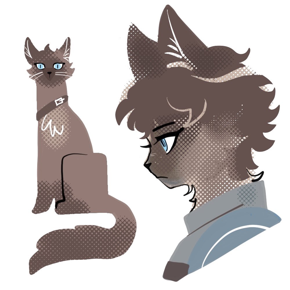 BXNKE's tweet image. Kabru 🐈‍⬛