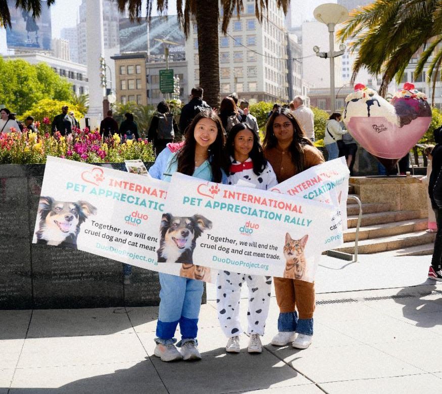 StopEatingDogs_'s tweet photo. We want to say a big THANK YOU to our wonderful volunteers around the world! Are you looking for a volunteer opportunity? Join #DuoDuoProject for our 3rd annual International #PetAppreciation Celebration!
https://t.co/i5ktBpZJiJ
#VolunteerAppreciationMonth #StopYulinFestival https://t.co/EpypJ5pwYu