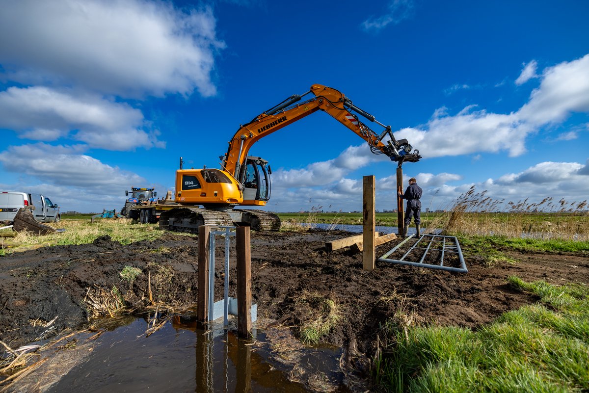 💧 Hogere waterpeilen in 1.500 hectare Friese veenweiden!

40 boeren namen het initiatief voor een 4-jarig project om veenafbraak tegen te gaan en CO2-uitstoot te verminderen. Verwachte reductie: 6.000 ton CO2 per jaar! 

ℹ️wetterskipfryslan.nl/news/hogere-wa… 

#Veenweide #Fryslân #Klimaat