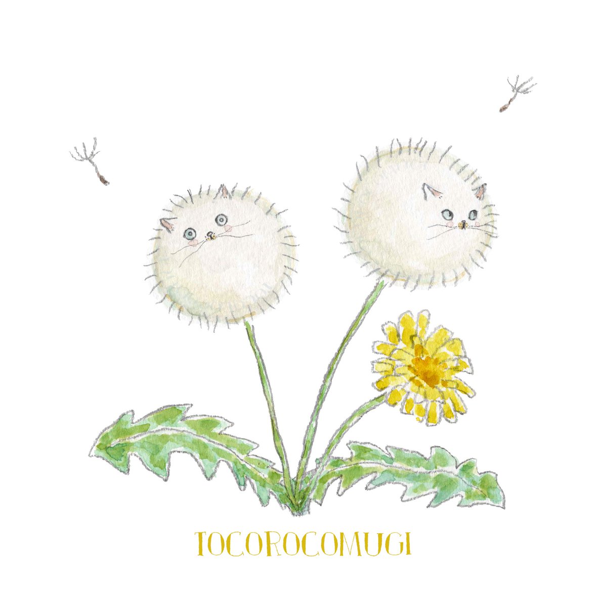 tocorocomugi's tweet photo. ぜったいに吹き飛ばされにゃいんだからね！ https://t.co/S7gEMVMJfk
