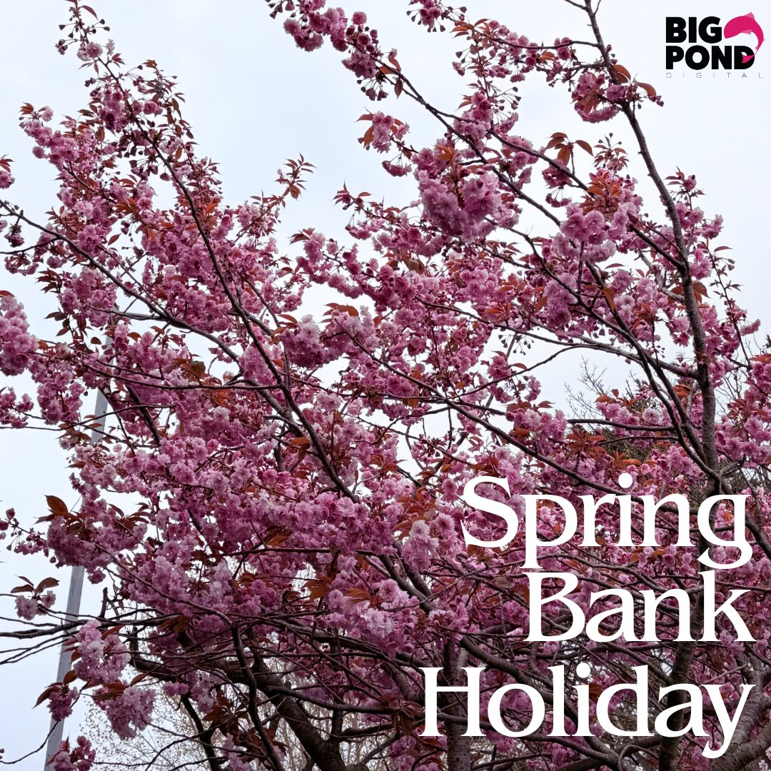 It's Spring Bank Holiday weekend so we're out-of-office this Friday, Monday, &amp; back Tuesday. 
Have a cracking time if you're off as well 🐰🐣

Email hello@bigponddigital.co.uk for anything pressing.

#bankholiday #outofoffice #easter #spring #scotland