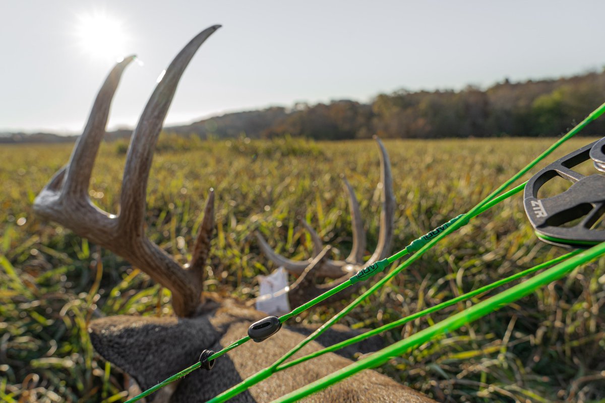 ABBbowstrings's tweet image. Missing these views!

#americasbestbowstrings #bowhunting #archery