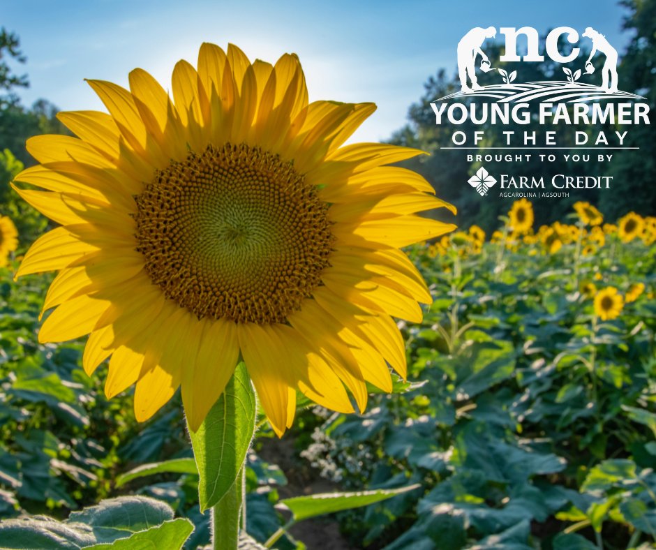 NCDA&CS (@ncagriculture) on Twitter photo Only TWO WEEKS LEFT to apply or nominate someone for this year's Young Farmer of the Day Program, presented by <a href="/AgCarolinaFC/">AgCarolinaFarmCredit</a> and <a href="/AgSouthFC/">AgSouth Farm Credit</a>!
More info below! Deadline is April 30th! #NCAgriculture
Apply here: loom.ly/ji2CPJE
Nominate here: loom.ly/eBMHBlc Only TWO WEEKS LEFT to apply or nominate someone for this year's Young Farmer of the Day Program, presented by <a href="/AgCarolinaFC/">AgCarolinaFarmCredit</a> and <a href="/AgSouthFC/">AgSouth Farm Credit</a>!
More info below! Deadline is April 30th! #NCAgriculture
Apply here: loom.ly/ji2CPJE
Nominate here: loom.ly/eBMHBlc