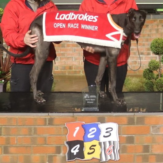 Monmore Green Stadium tweet media