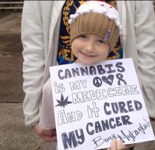 daviddinenberg's tweet photo. Cannabis is medicine! #Cannabis #LegalizeIt #CannabisCommunity #Mmemberville https://t.co/OJUux6NWuD
