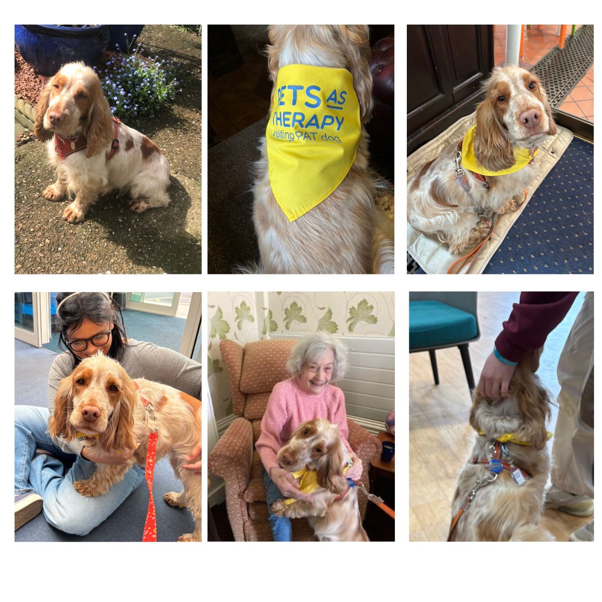 Penny Griffiths tweet media