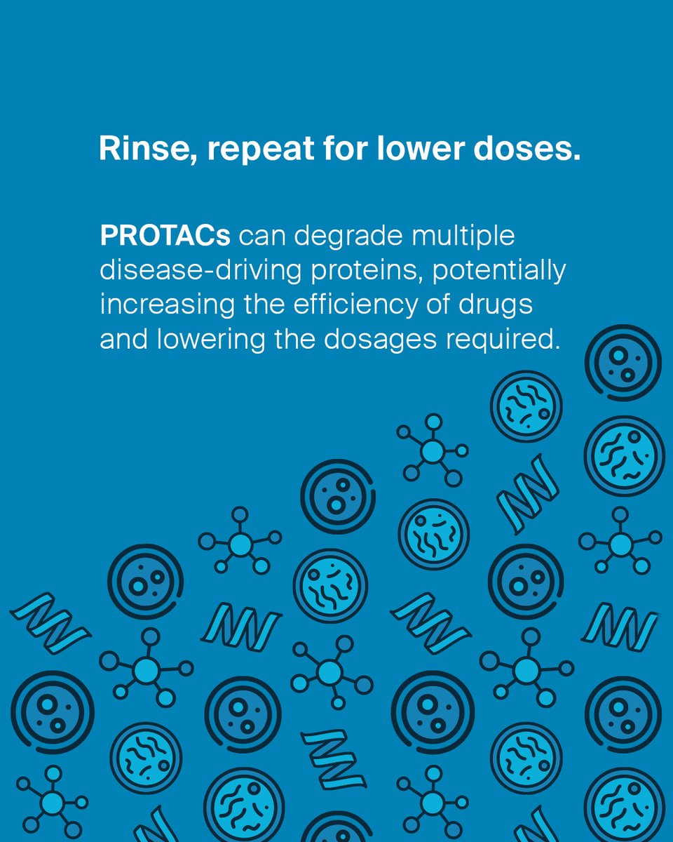 LeapsByBayer's tweet image. Here is a quick look at how PROTACs work in oncology, Alzheimer’s and more, as @ArvinasInc and @OerthBio develop the tech further. Follow us to get more exciting updates!