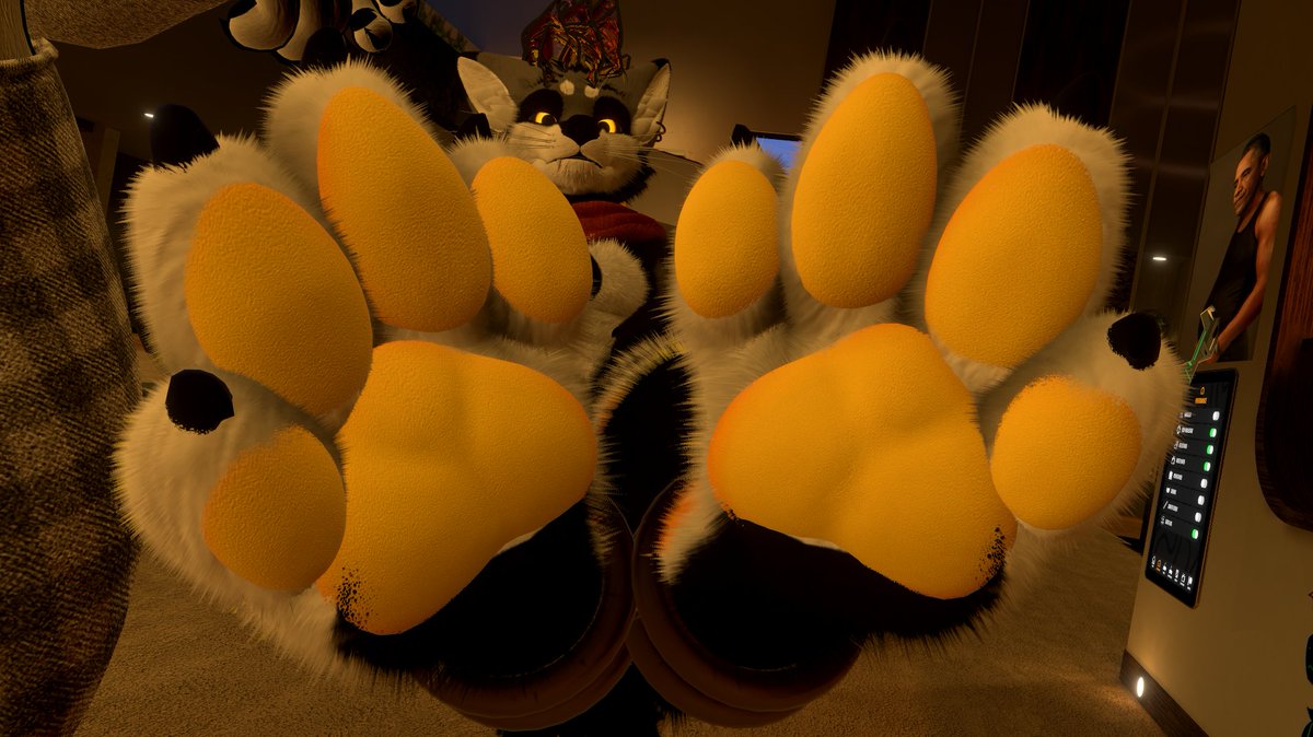 Renki, The floof that stare at your paws. tweet media