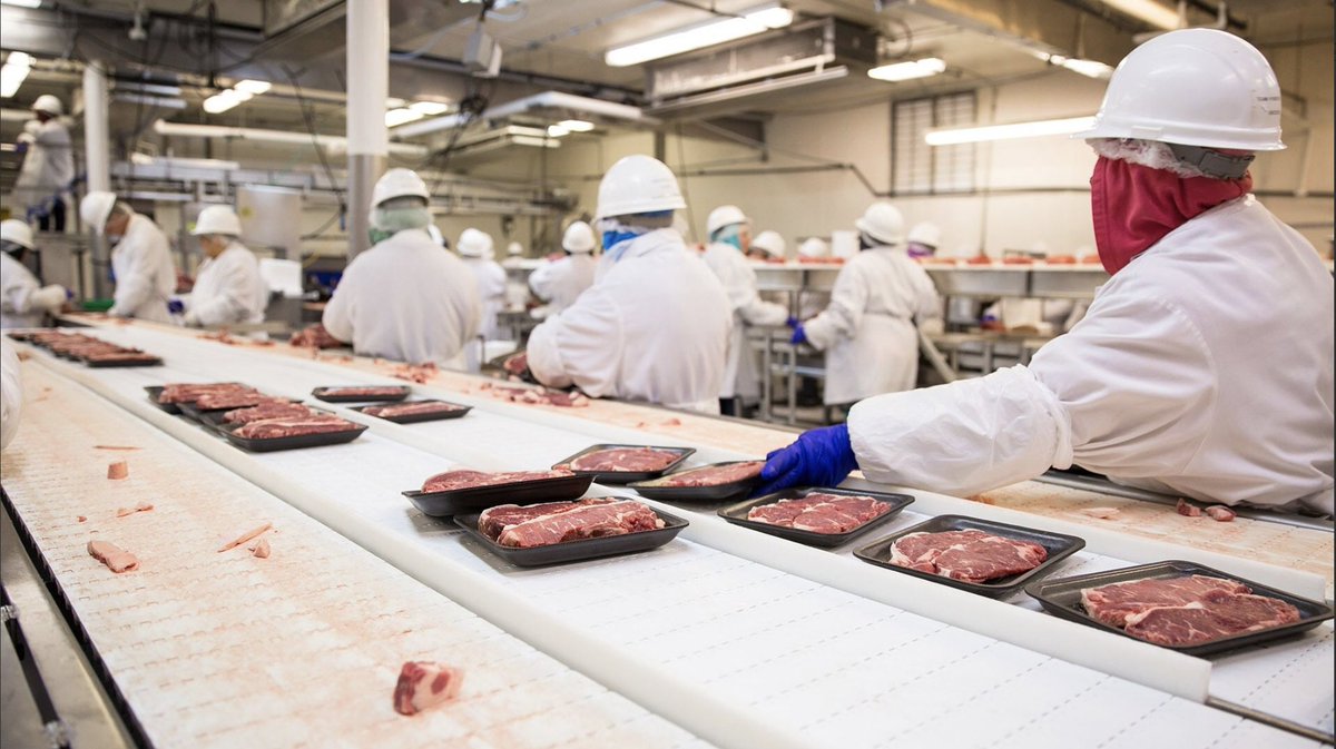 A review of the literature explores how the New Swine Inspection System affects meatpacking line workers’ safety and wellbeing. clf.jhsph.edu/about-us/news/…