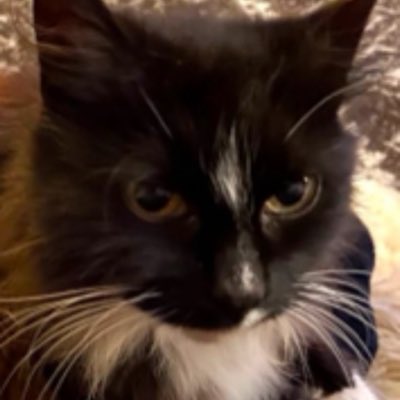 BruceMackay's tweet photo. #NewProfilePic https://t.co/JJ7JYnc5nO