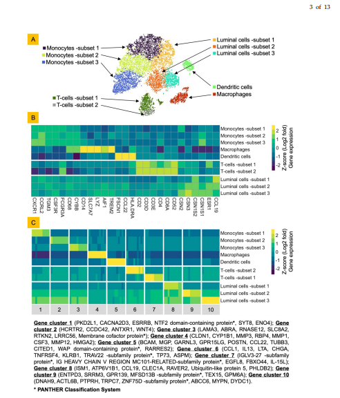 🦉H5N1 infection in bovine mammary tissue induces a shift to type-2 immunity, marked by IL13 and GATA3 expression in T-cells. Single-cell RNA-seq revealed ten distinct clusters, including three epithelial subtypes with altered milk-associated gene expression. 
#h5n1 #milk #cows