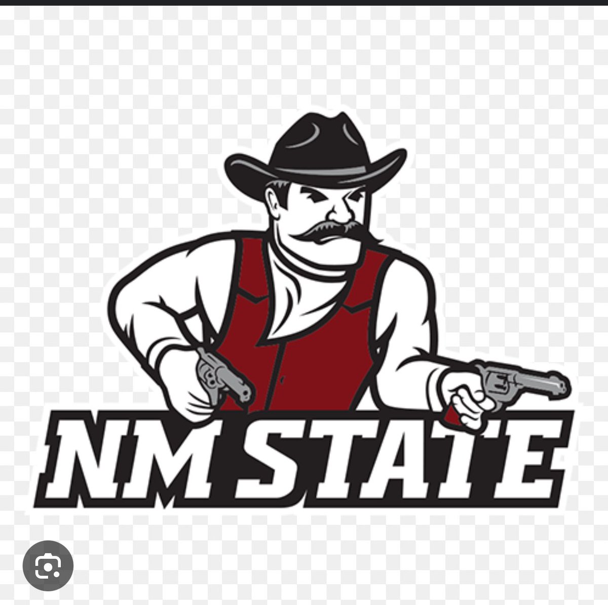 New Mexico State offered!