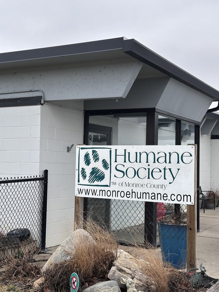 Chapman Elementary School tweet media