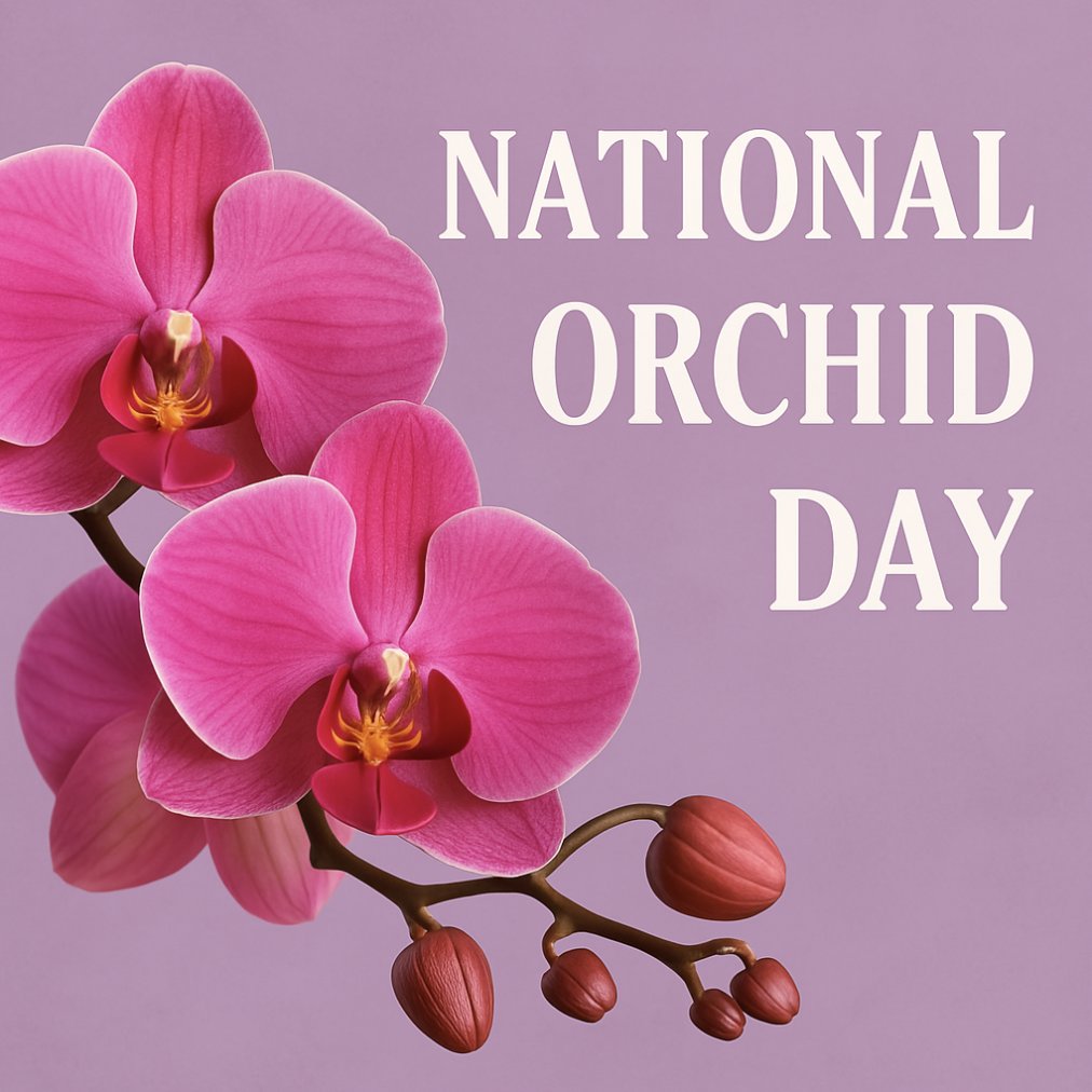 🌸✨ Happy #NationalOrchidDay! ✨🌸
New genome for Gongora gibba sheds light on how scent drives orchid evolution &amp; pollinator attraction! 🐝 A first for euglossine bee–pollinated orchids!

Read more: ow.ly/kMTu50VrUUW

#LinkPrep #OrchidGenome #Genomics #PlantScience #HiC