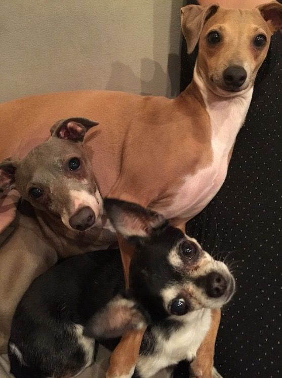 jiminyycrickets's tweet photo. thinking bout them x #jennamarbles https://t.co/VOxXiIhFV7