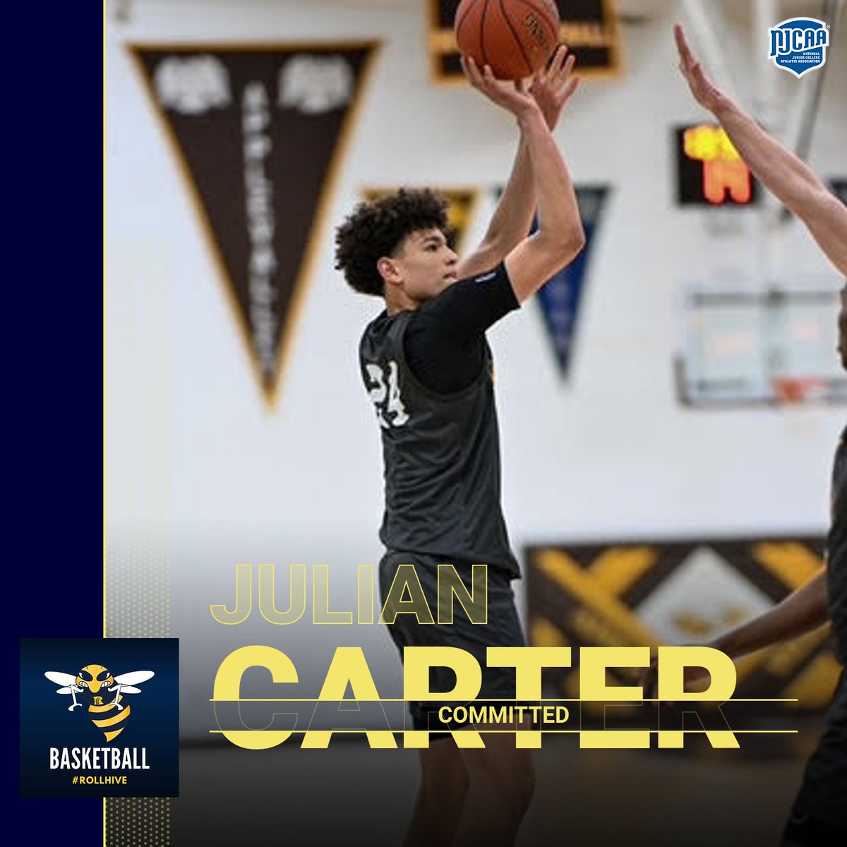 Welcome to Julian Carter from Apple Valley, MN...a long and athletic W/F who can run/block shots and utilize his length.  Looking forward to his development and improvement this fall!
