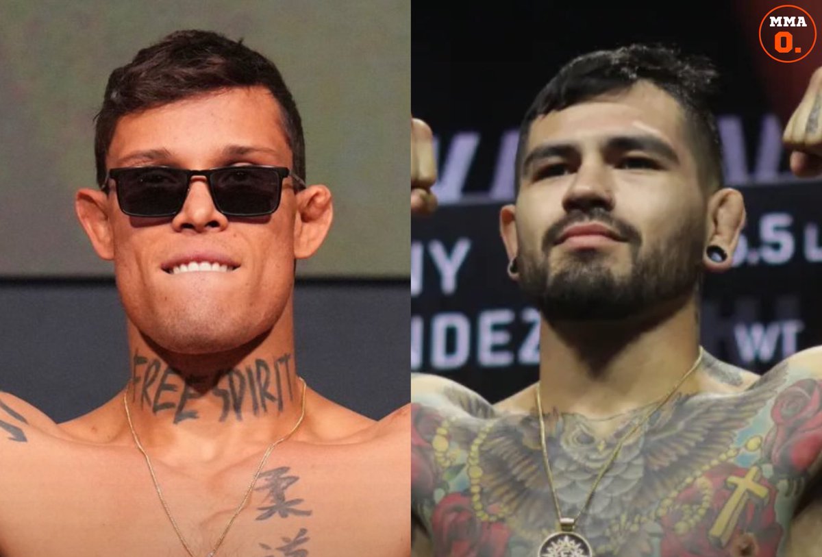 José Louis tweet media