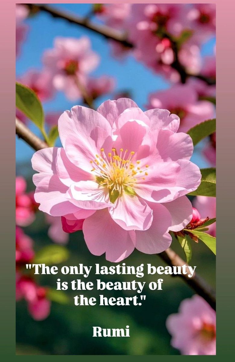 EsinTezer_'s tweet image. "Tek kalıcı olan güzellik. kalbin güzelliğidir."
#Mevlana 🌸 #Rumi 
@KariJoys @HiroshiMikami_ @ritahealer @PinarAkal1 @brightnewvensa #JoyTrain #joy #enlightenment #aydınlanma